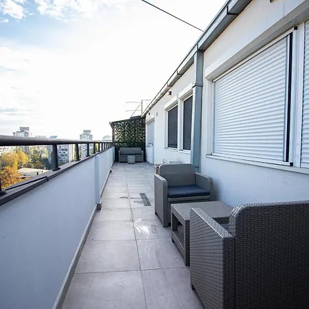 Sunny Nest Apartment